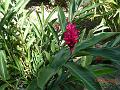 6v-La Digue LF_3423
